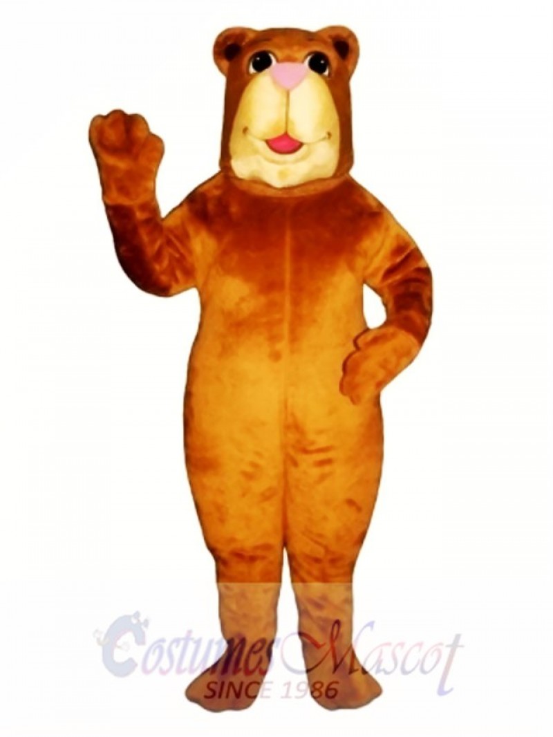 Cute Bully Bear Mascot Costume