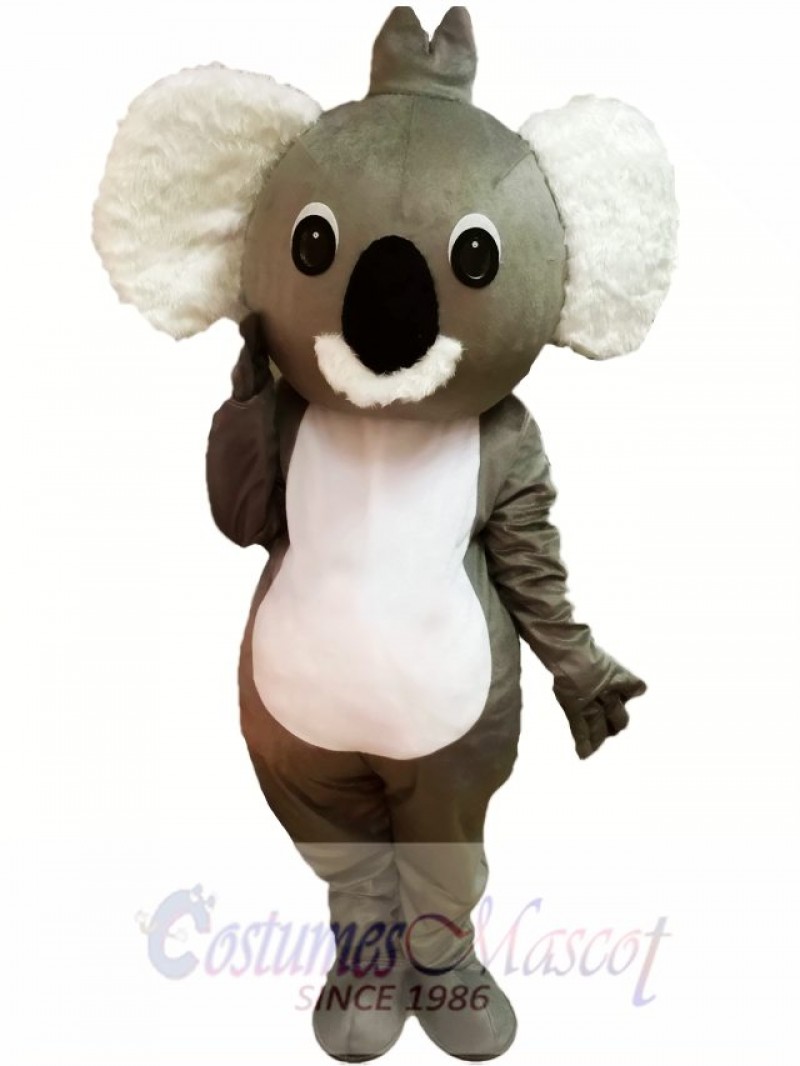 Cartoon Koala Mascot Costume