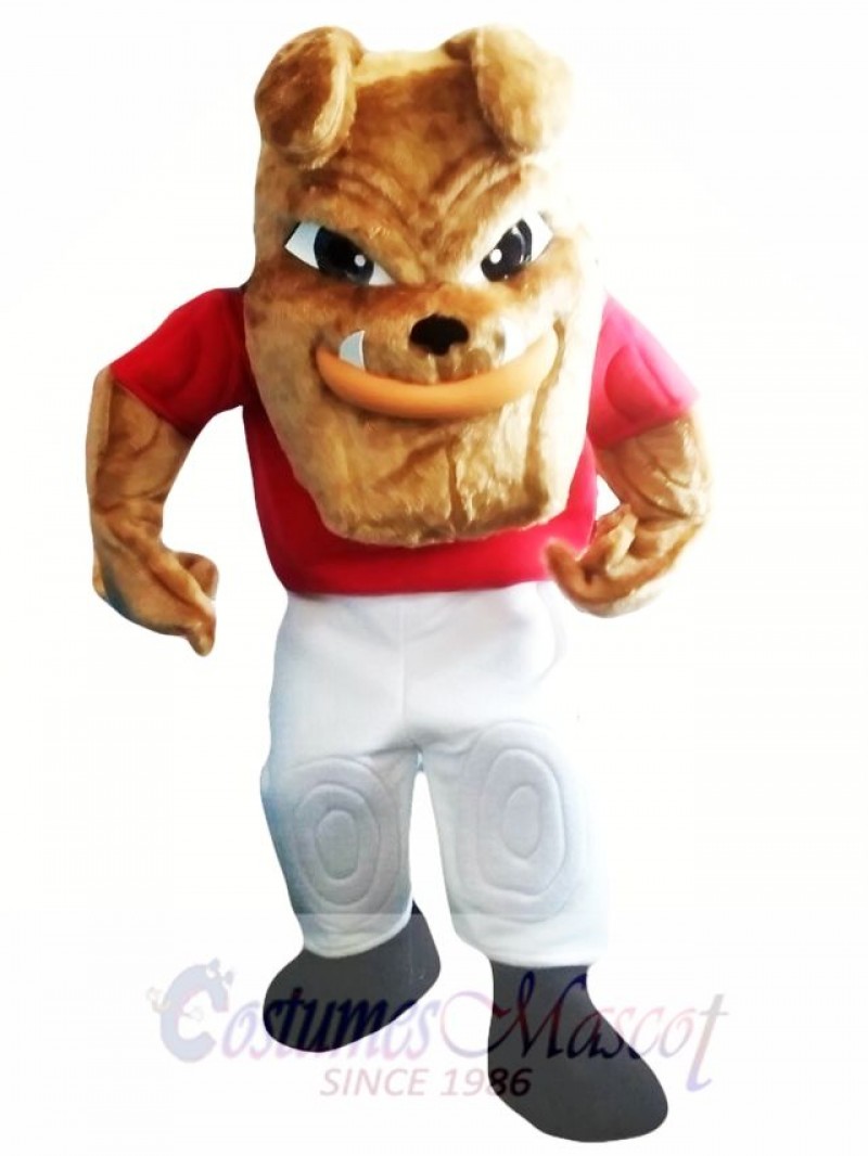 Bulldog Mascot Costume Adult Costume