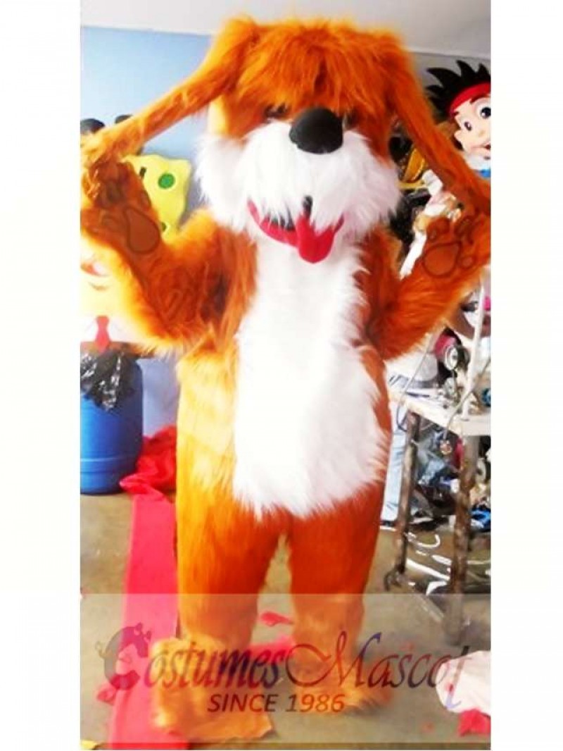 Shaggy Dog Mascot Costume