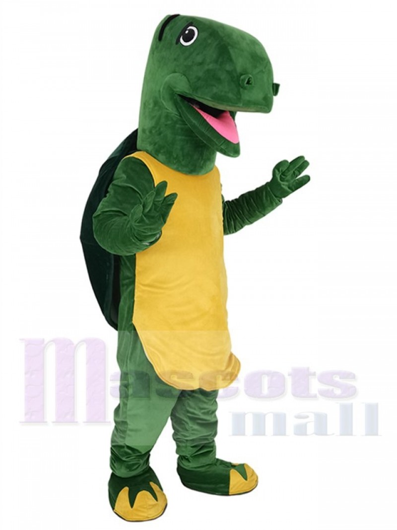 Tortoise mascot costume
