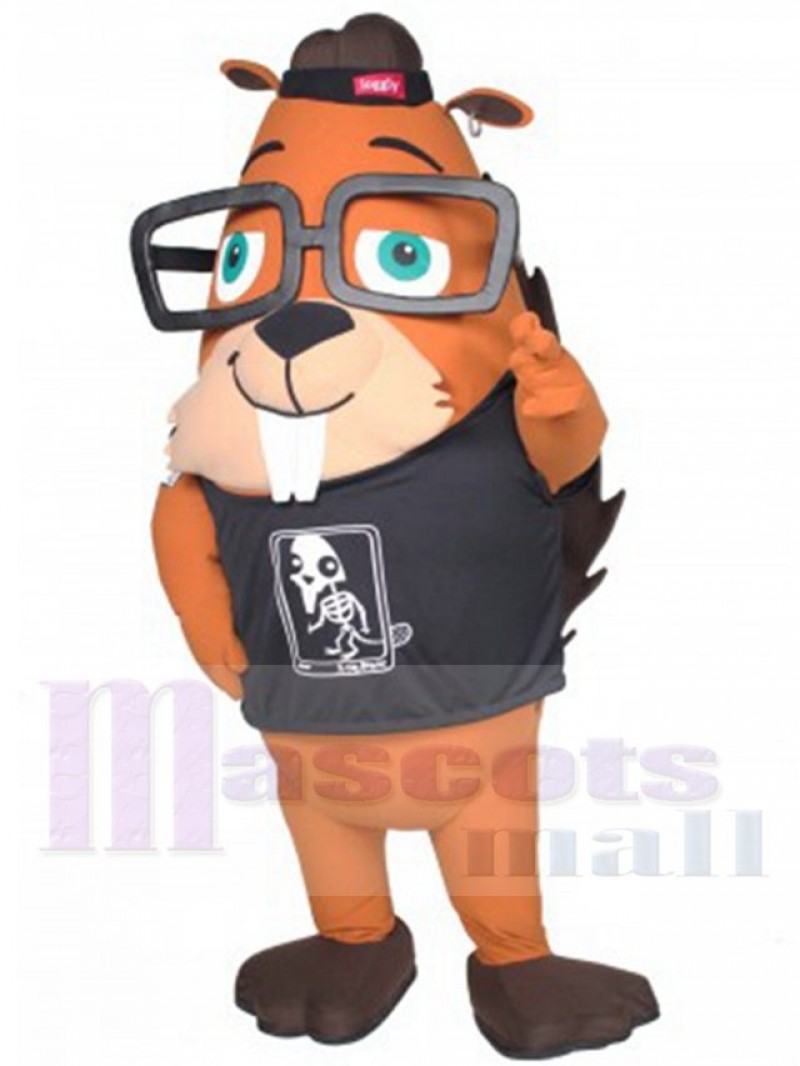 Hoover Aardvark mascot costume