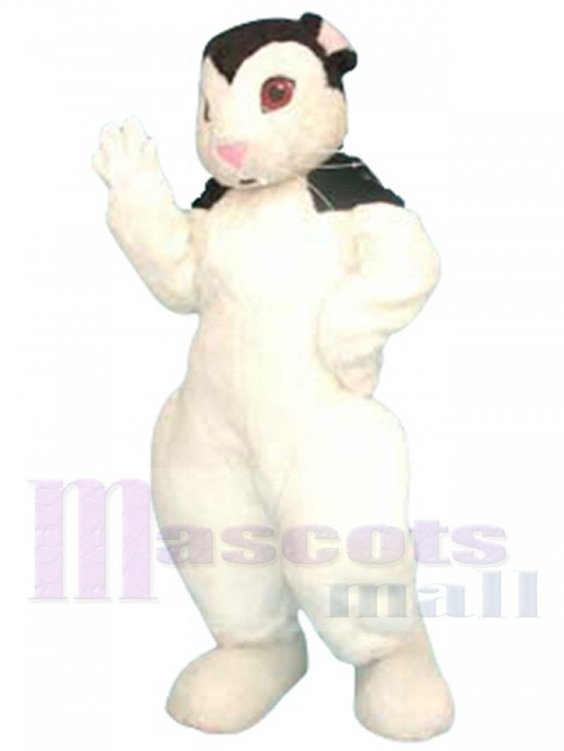 Bunnicula Rabbit mascot costume
