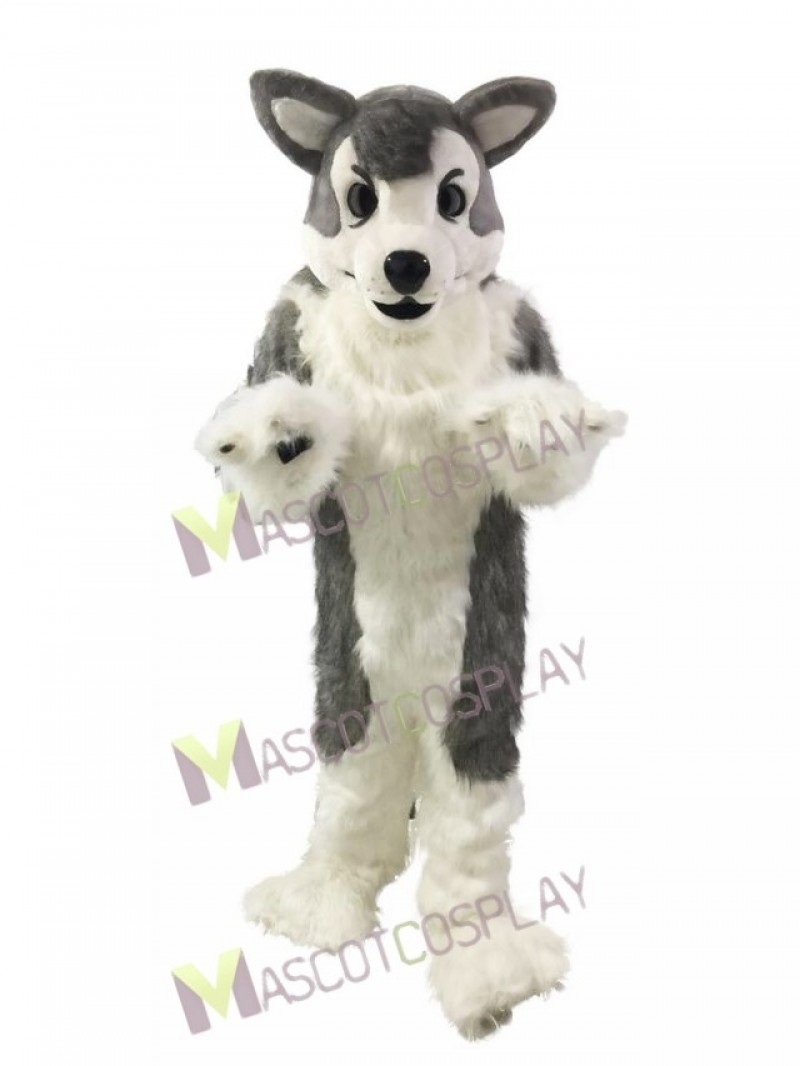 Gray Wolf Husky Dog Mascot Costume