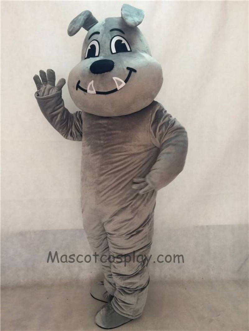 Gray Tuffy Bulldog Mascot Costume