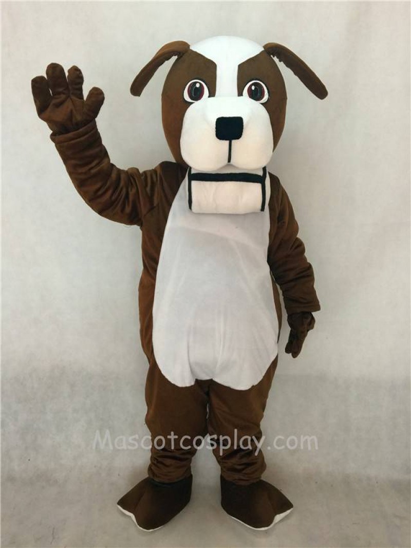 High Quality Adult Brown and White St. Bernard Dog with Barrel Mascot Costume
