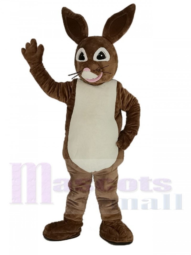 Brown Peter Rabbit Mascot Costume Cartoon