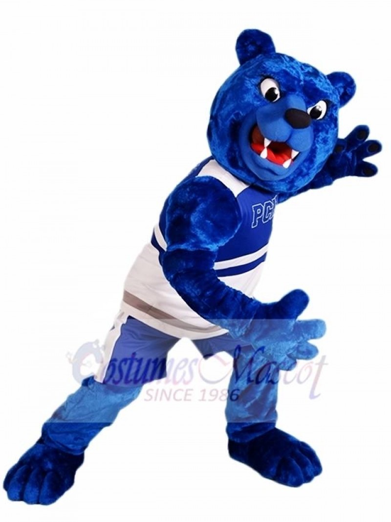 Royal Blue Bear Mascot Costumes