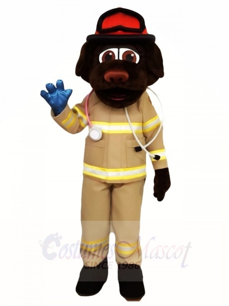 Brown Doctor Dog Mascot Costumes Animal  