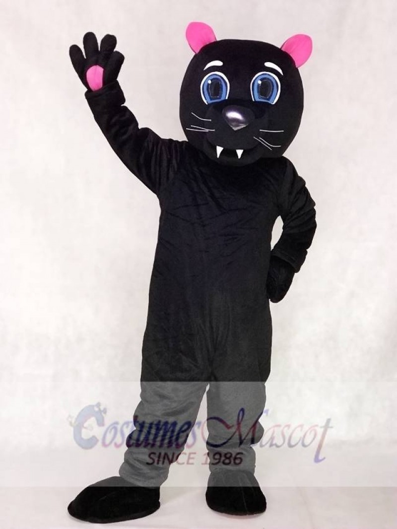 Red Ears and Paws Black Sir Purr of the Carolina Panthers Mascot Costumes