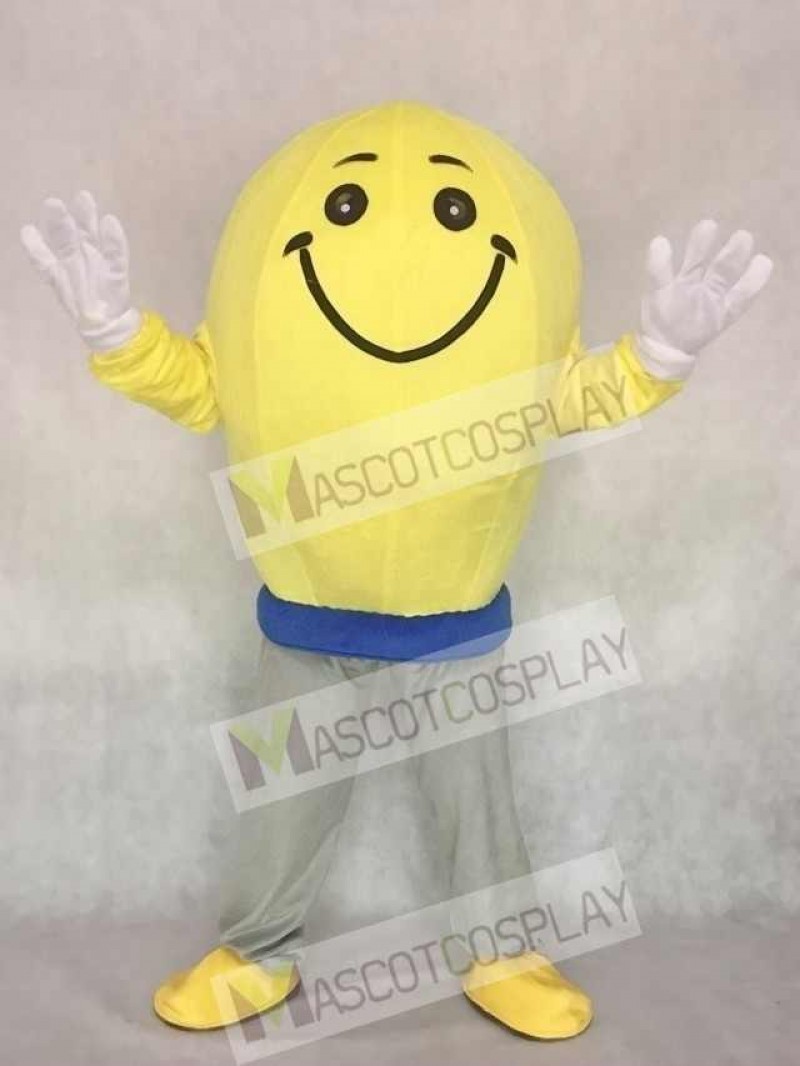 High Quality Cute Light Bulb Mascot Adult Costume