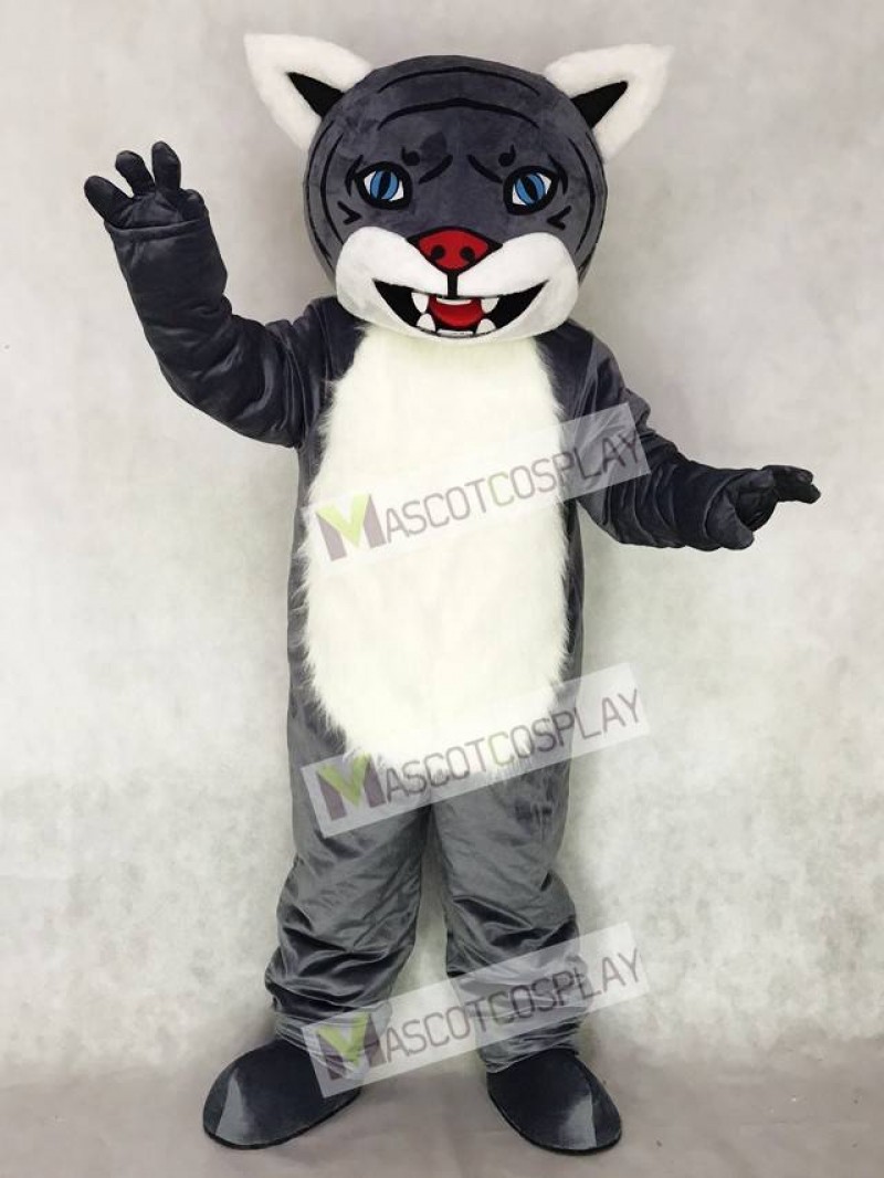 Cute New Gray Wildcat Cub Mascot Costume