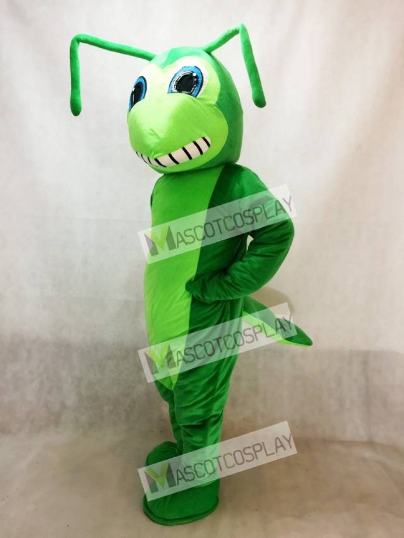 New Grasshopper Mascot Costume Insect