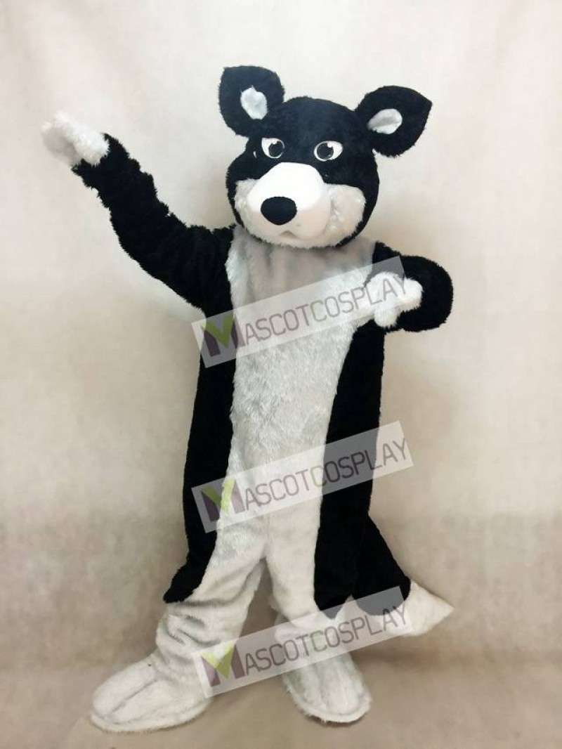 New Black and White Border Collie Husky Dog Mascot Costume Animal