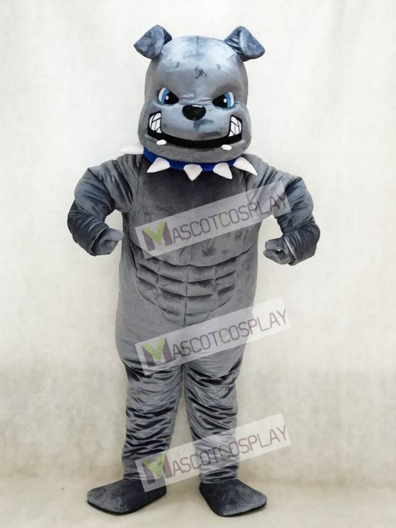 New Blue Eyes Grey Bulldog Mascot Costume