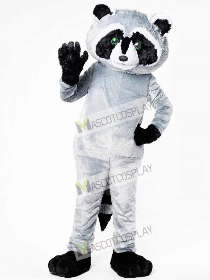 North American Raccoon Mascot Costume