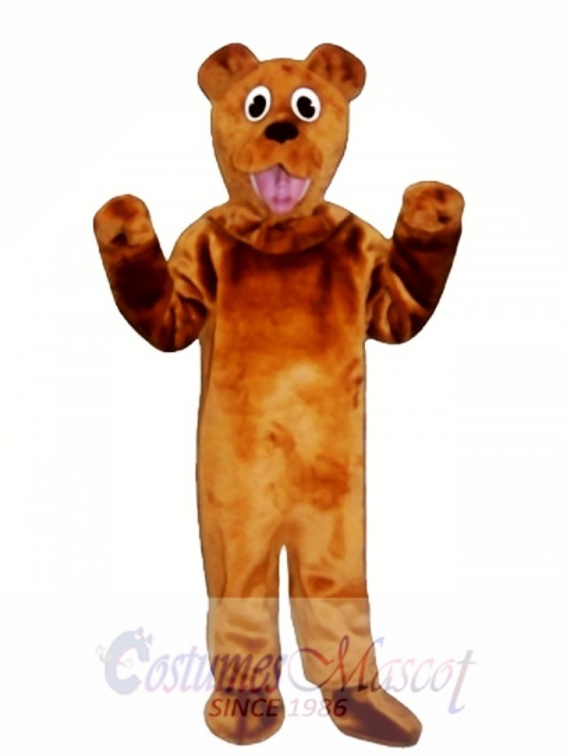 Cute Bear Mascot Costume