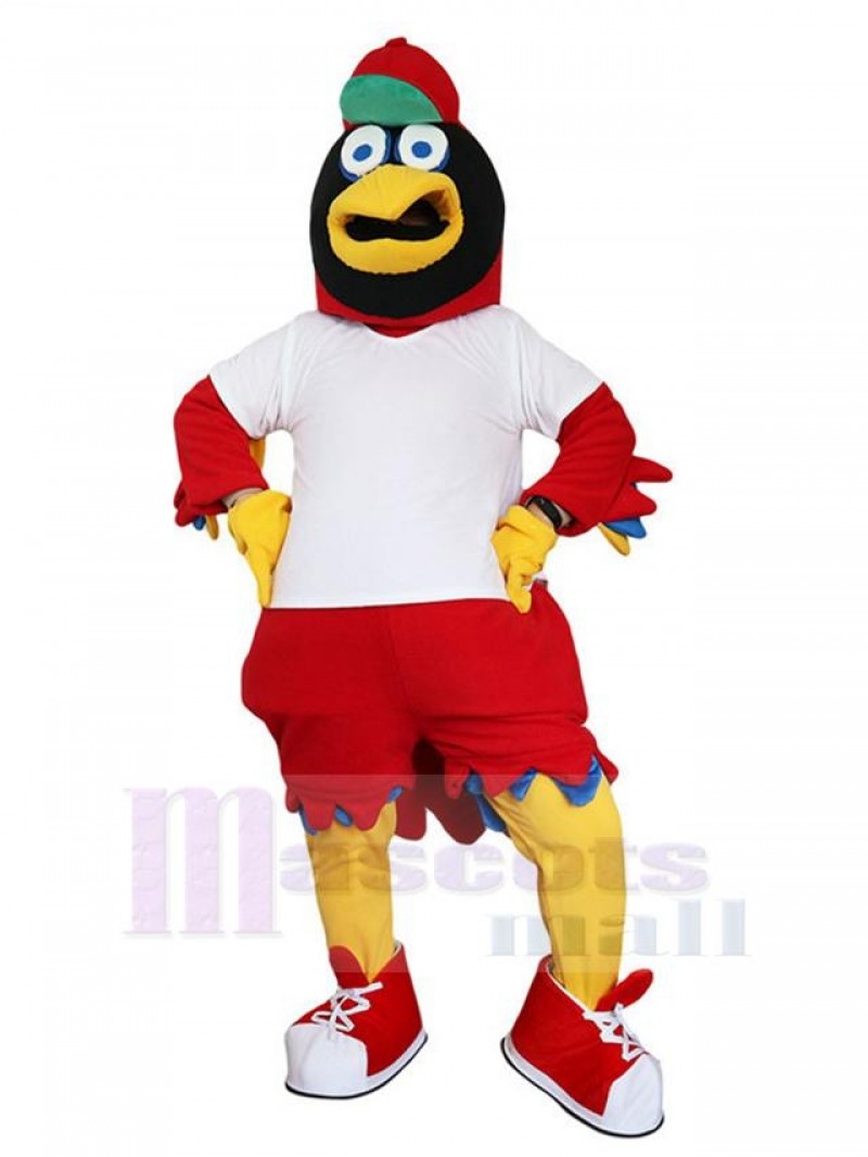 Eagle Hawk mascot costume
