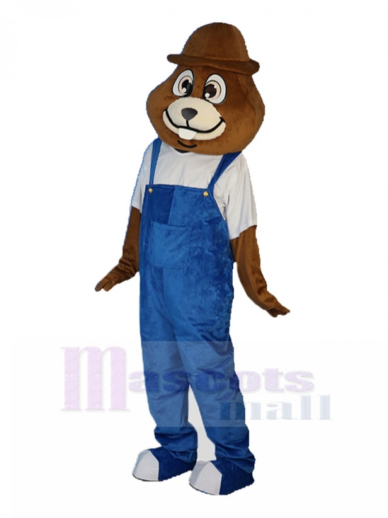 mole mascot costume