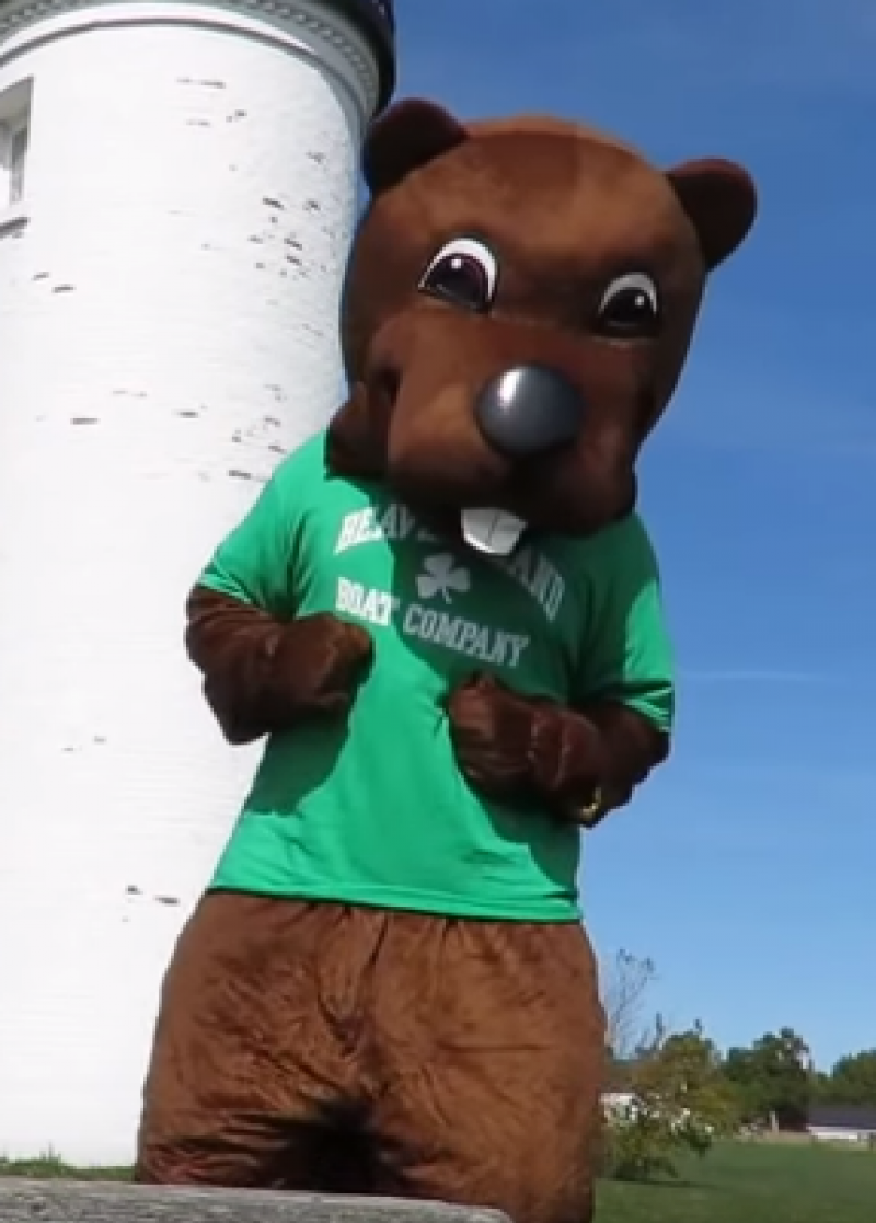 Beaver mascot costume