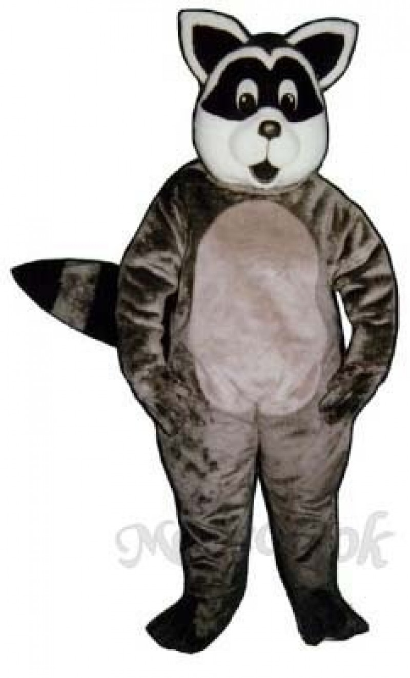 Sunny Raccoon Mascot Costume