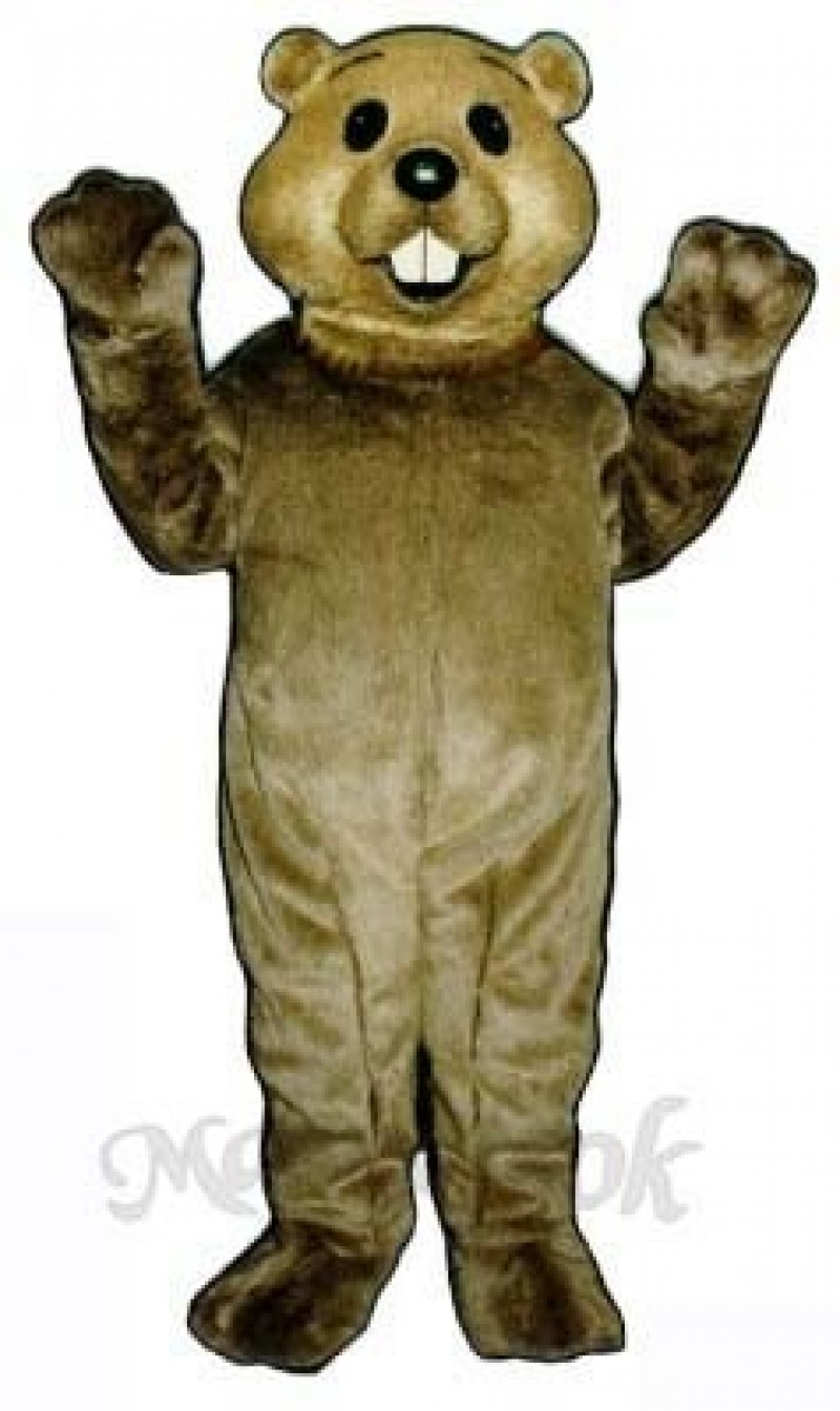 Cute Groundhog Mascot Costume