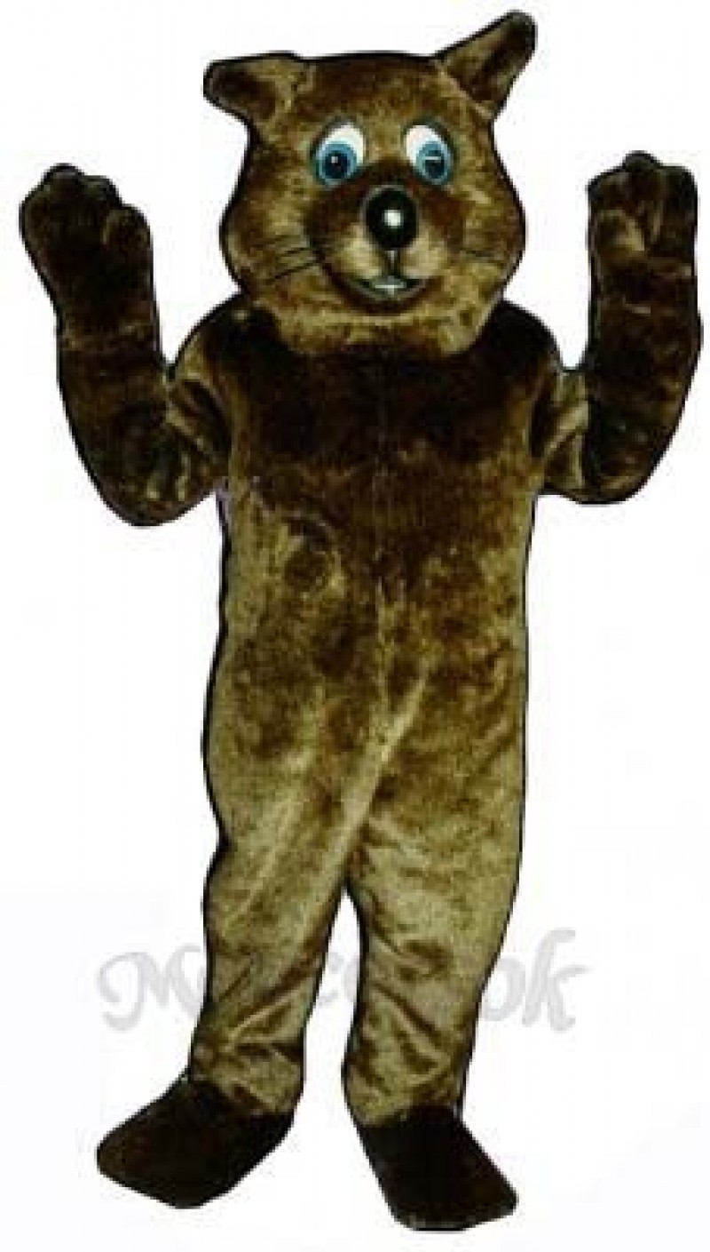River Otter Mascot Costume