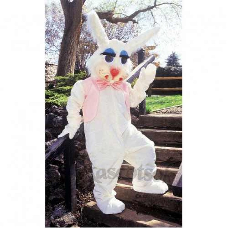 Peter Rabbit Bunny Mascot Costume