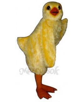 Cute Chick Mascot Costume