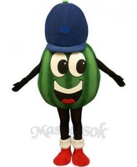 Madcap Watermelon Mascot Costume