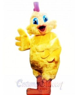 Chick Chicken Mascot Costume Adult Costume