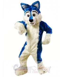 Blue Wolf Fursuit Mascot Costumes  