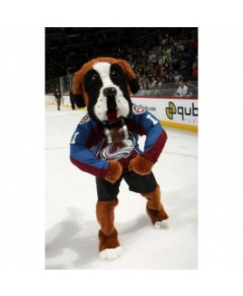 Colorado Avalanche Bernie the St. Bernard All Star Game Bernie Dog Mascot Costume for the Miami Heat