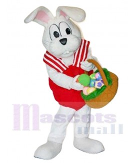 Peter Cottontail Rabbit mascot costume