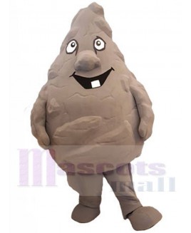 Rock Stone mascot costume
