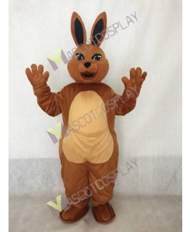 Baby Kangaroo Mascot Costume with Tail