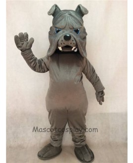 High Quality Adult Gray Bulldog Dog Mascot Costume
