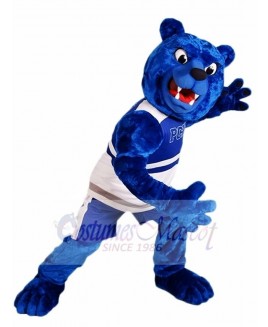 Royal Blue Bear Mascot Costumes