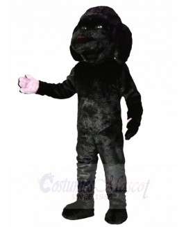 Black Dog with Orange Cloak Mascot Costumes Animal