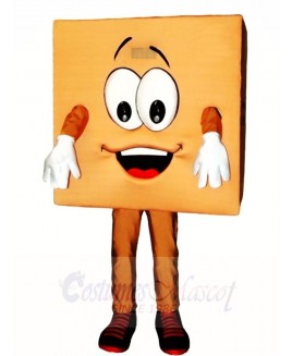 Brown Box Mascot Costumes 