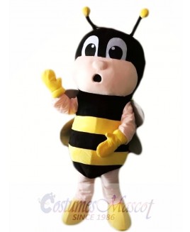 Cute Bee Mascot Costumes Insect