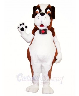 Saint Bernard Doctor Dog Mascot Costumes Animal