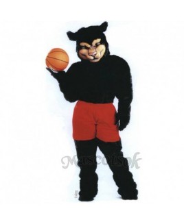 Cute Pro Panther Mascot Costume