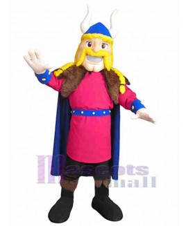 Viking mascot costume