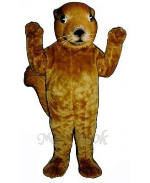 Realistic Squirrel Mascot Costume