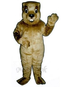 Groundhog Mascot Costume
