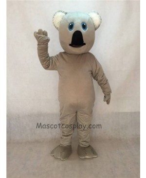 Cute New Koala Bear Mascot Costume