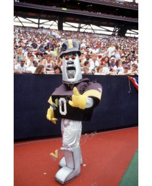Pittsburgh Steelers Steely McBeam Mascot Costume