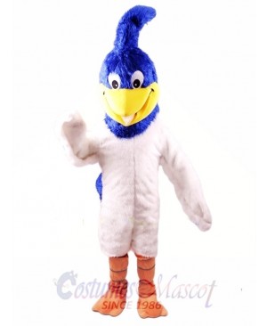 Roadrunner Mascot Costume