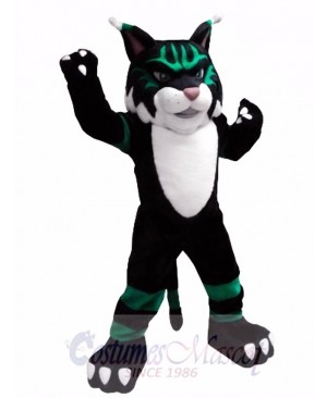 Colorful Wildcat Mascot Costume